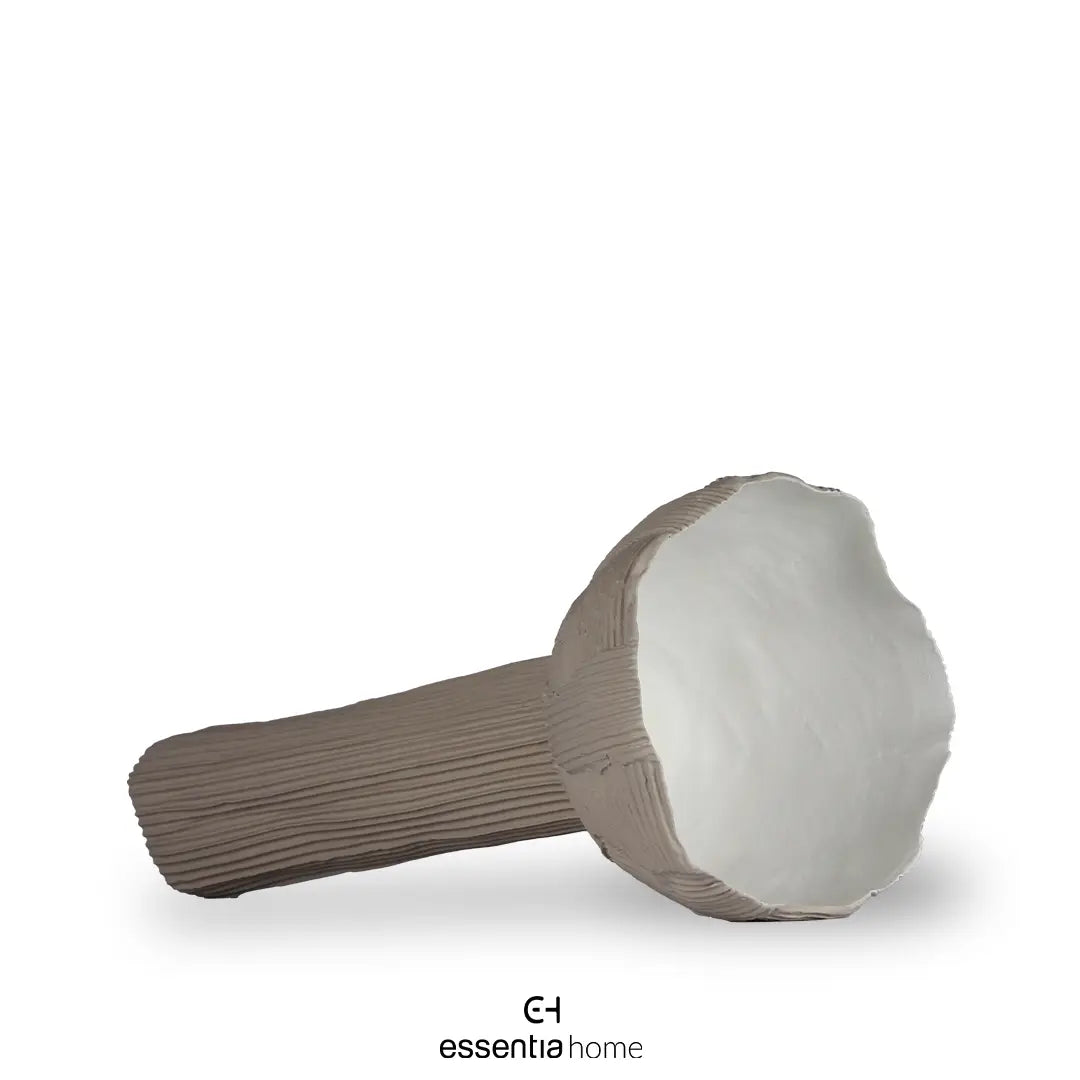 Ranuncolo Colour