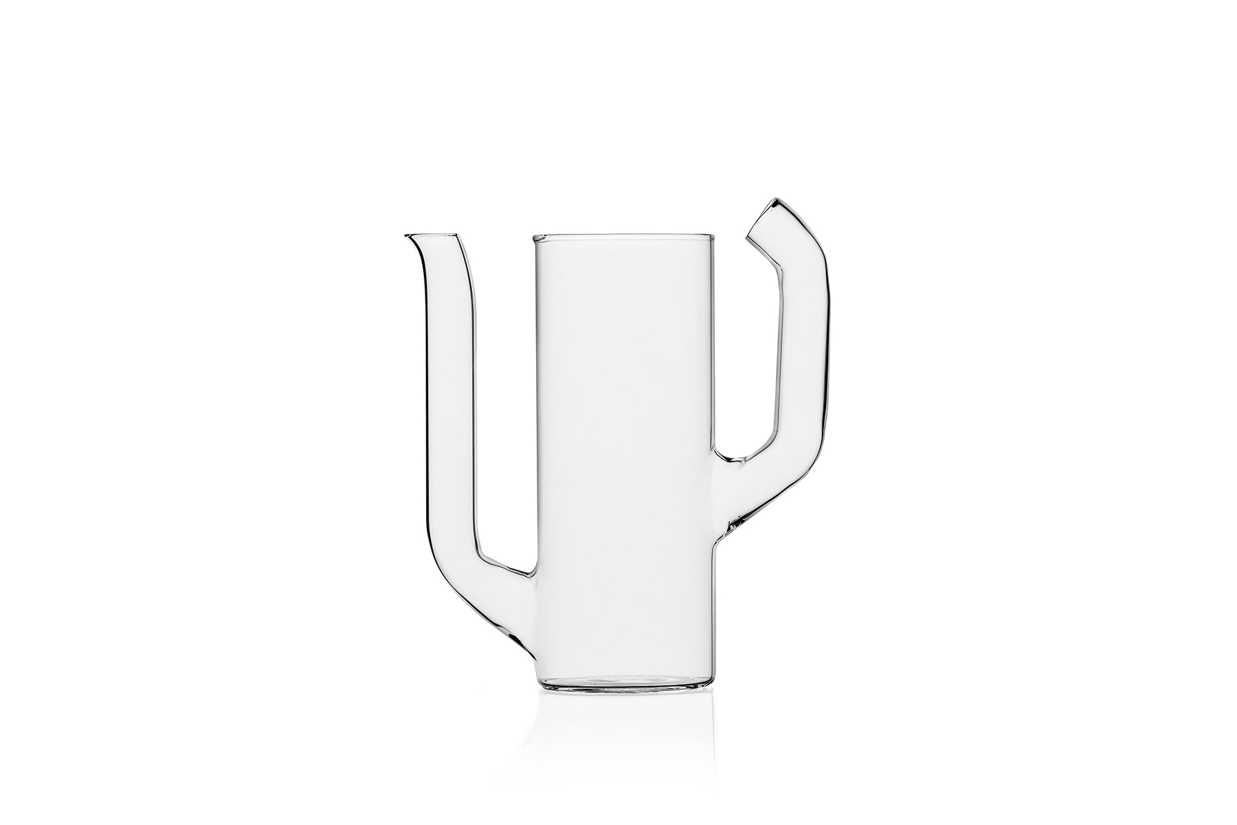 CACTUS Jug 2