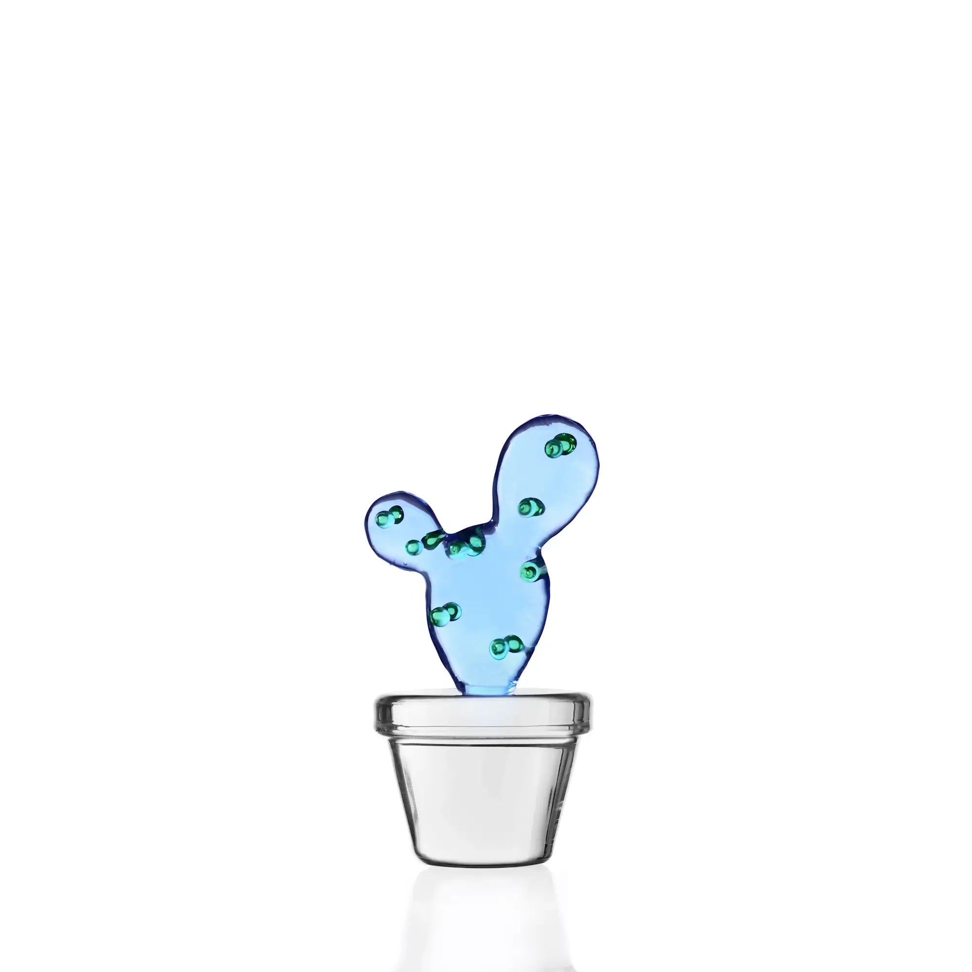 DESERT PLANTS - Paperweight Cactus Blue