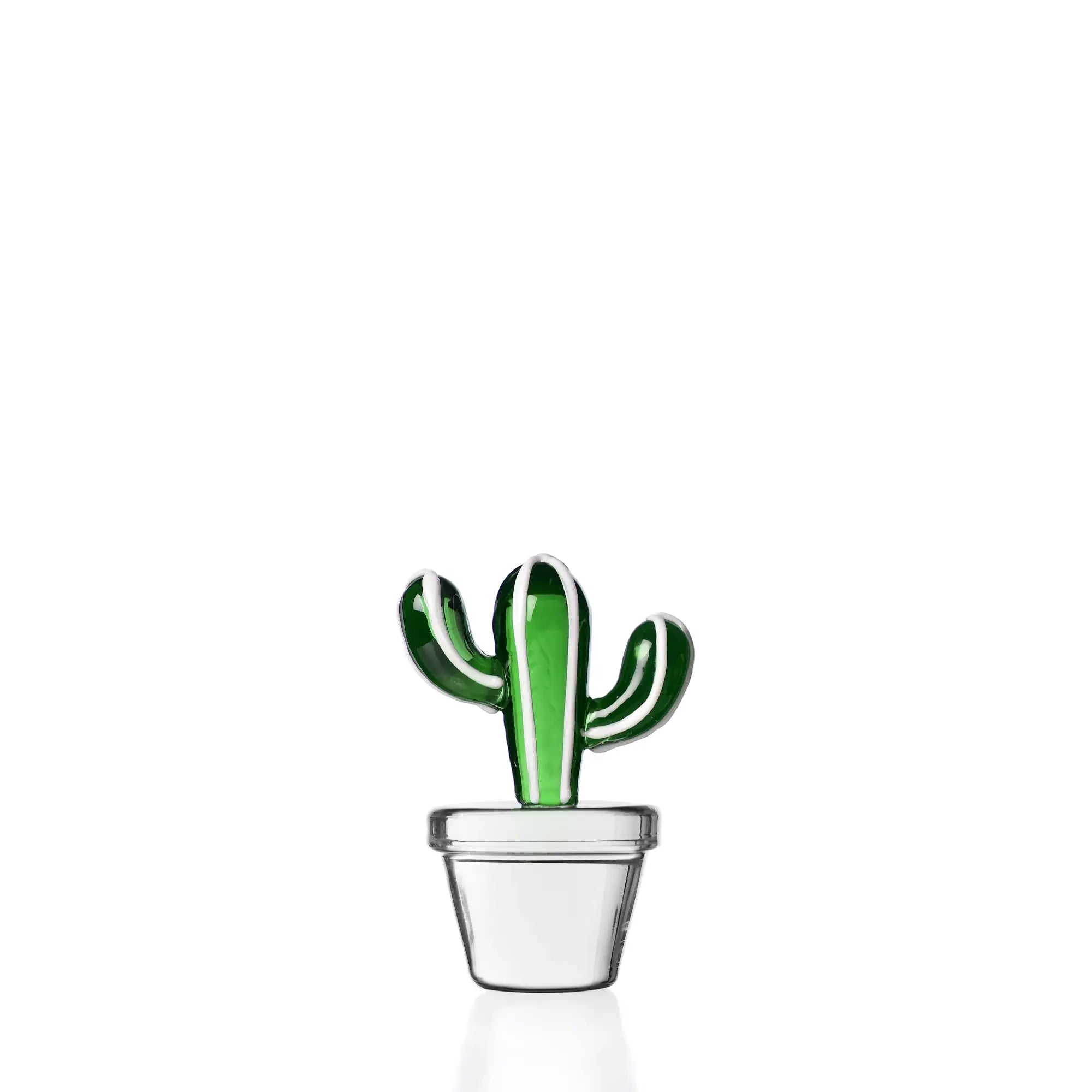 DESERT PLANTS - Paperweight Cactus Green