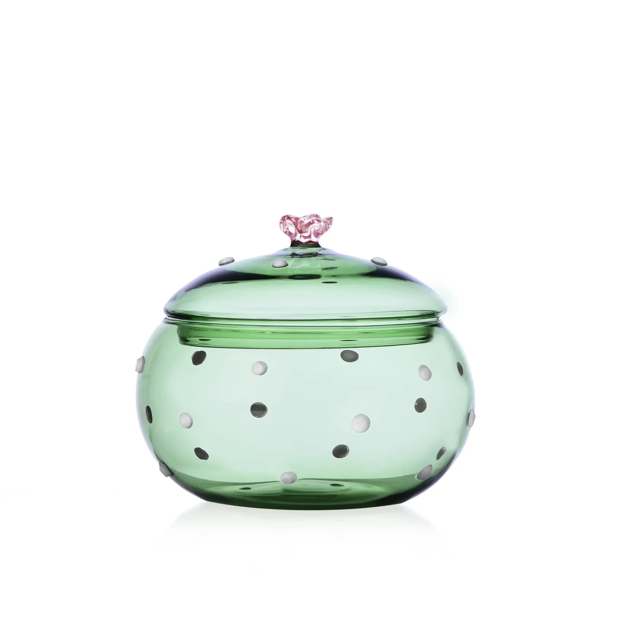 DESERT PLANTS - Box Geen Cactus Pink Flower