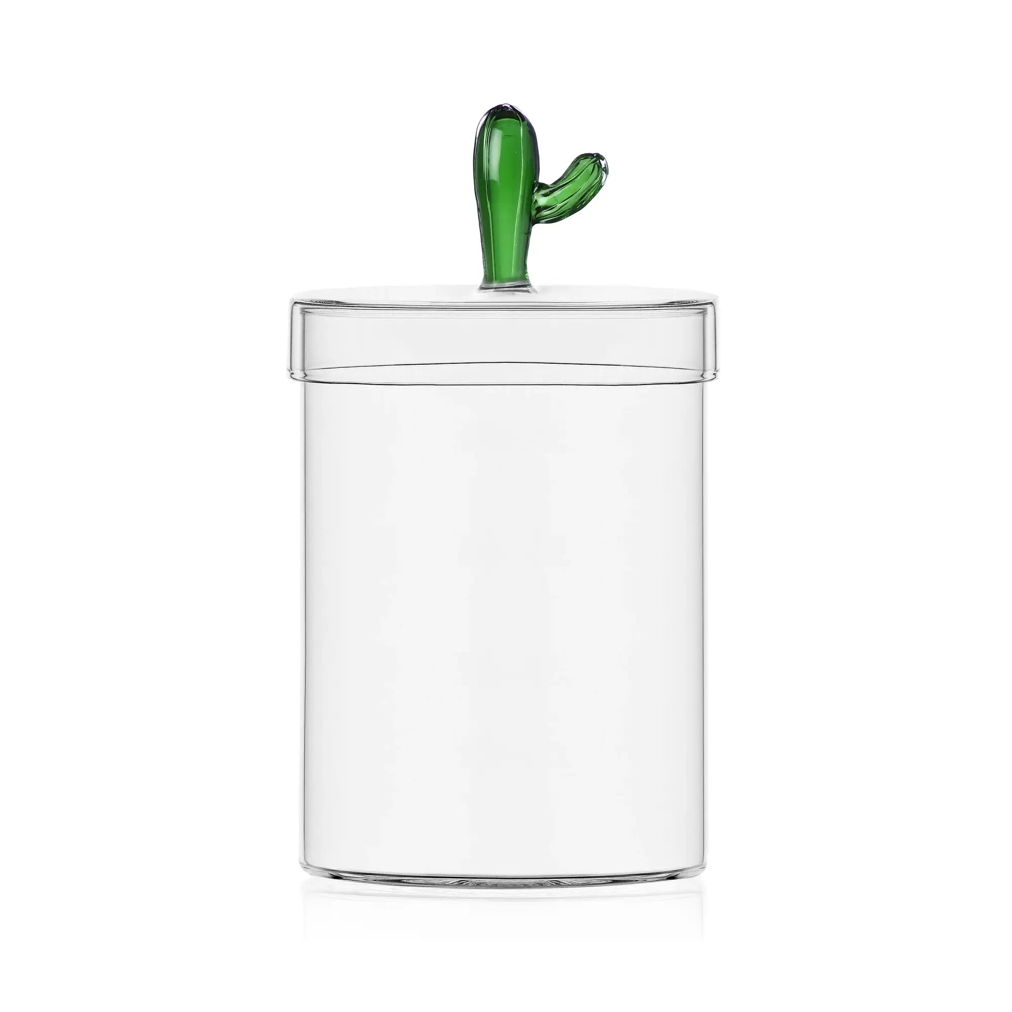 DESERT PLANTS - Box Cactus Green